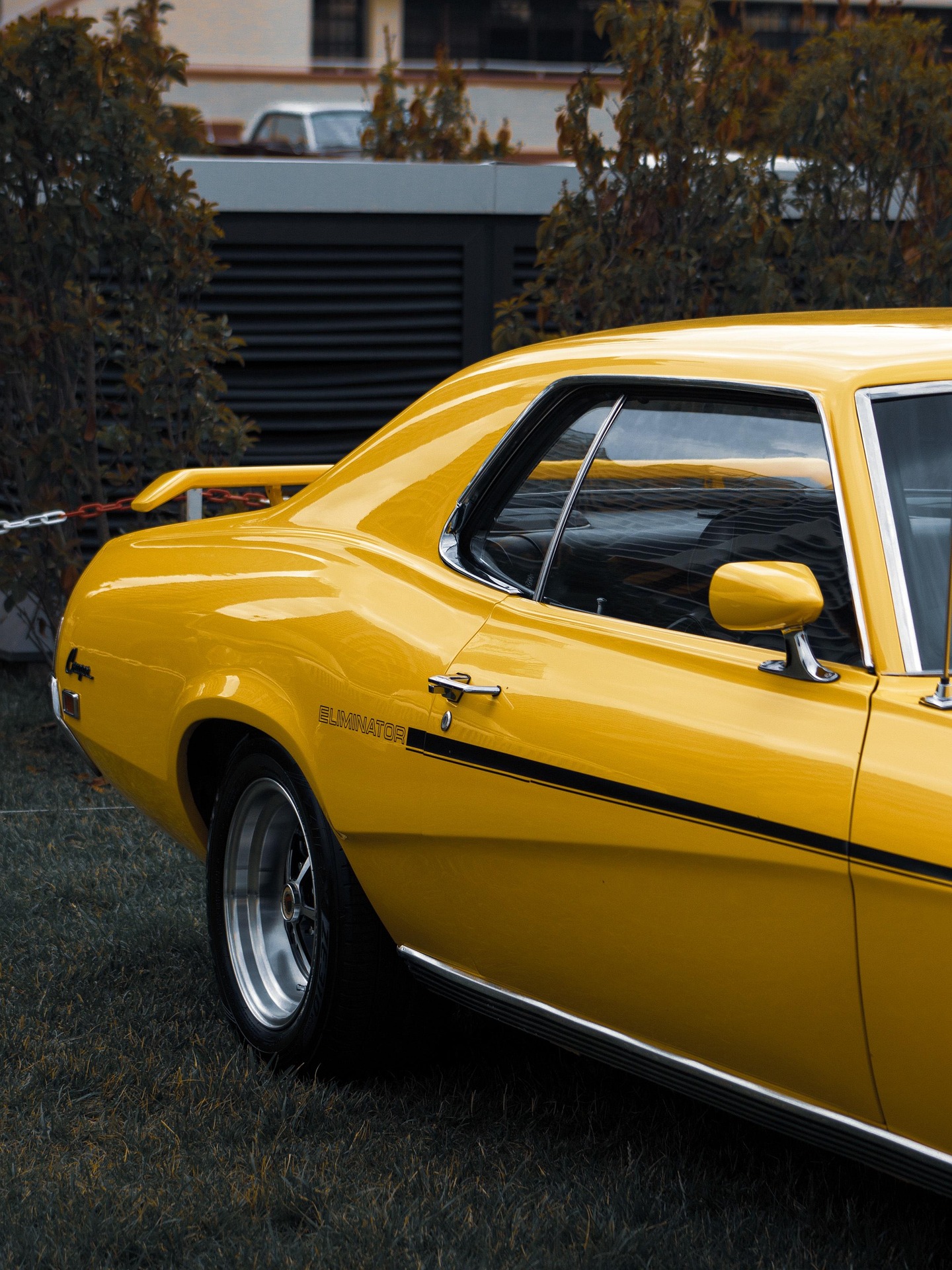 Professional Car Detailing